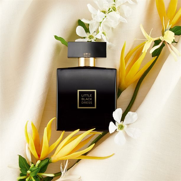 Little Black Dress EDP 50ml